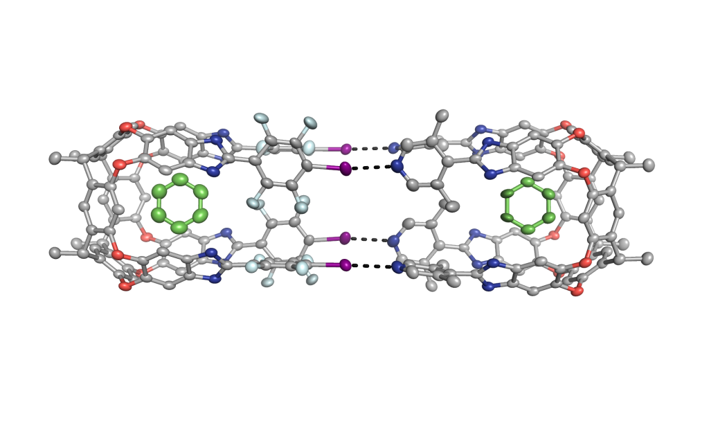 Supramolecular Chemistry Dumelelab